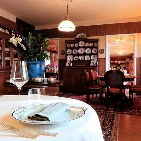 Felicin - Stella * Monforte dʼAlba