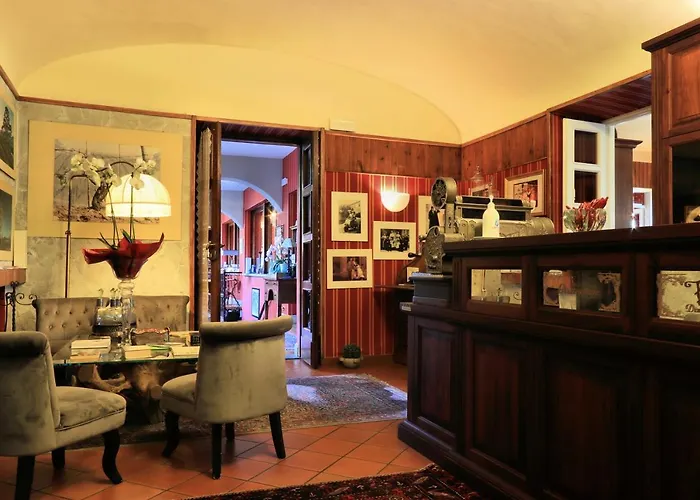 Felicin - Stella * Monforte dʼAlba